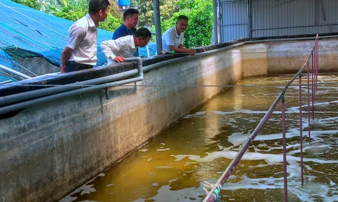 Ứng dụng công nghệ cao, tạo đột phá cho nông nghiệp xứ Thanh