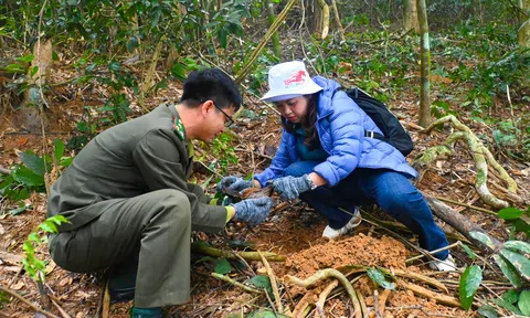 Trồng mới trên 1.500 cây xanh tại Vườn quốc gia Bến En