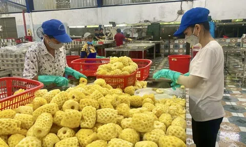 Ngành nông nghiệp Thanh Hóa đạt kim ngạch xuất khẩu gần 89 triệu USD