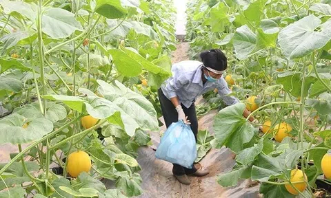 Xây dựng Nông thôn mới ở Thanh Hóa – Bài 3: Diện mạo mới gắn tăng trưởng phát triển kinh tế xanh