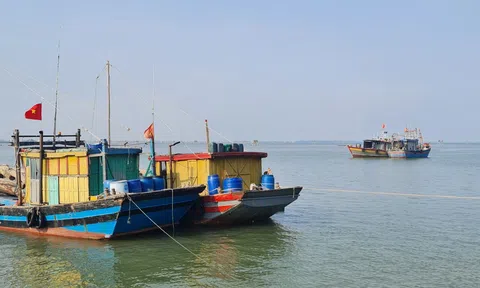 Thanh Hóa nỗ lực cùng cả nước gỡ bỏ lệnh cấm IUU