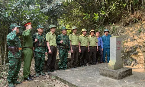 Chung tay gìn giữ sắc xanh của những cánh rừng vùng biên