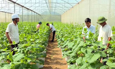 Nông nghiệp Thanh Hóa vượt nhiều chỉ tiêu, kỳ vọng bứt phá trong năm 2024