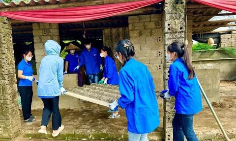 Đoàn thanh niên Thanh Hóa “dọn đường” để đường dây 500kV mạch 3 triển khai đúng kế hoạch