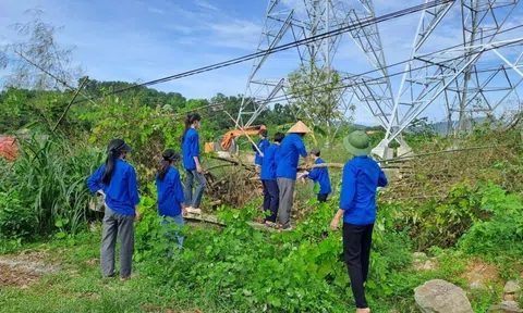 Hơn 1.000 Đoàn viên, Thanh niên tham gia hỗ trợ dự án đường dây 500kV mạch 3