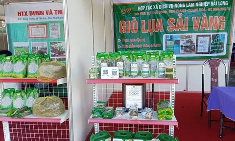 Chủ thể gặp khó khi nhiều người tiêu dùng còn mơ hồ về sản phẩm OCOP