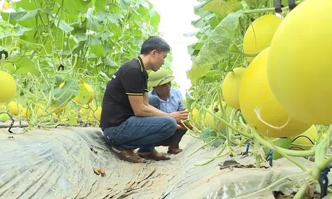 Thanh Hóa: Bảo vệ môi trường trong sản xuất nông nghiệp