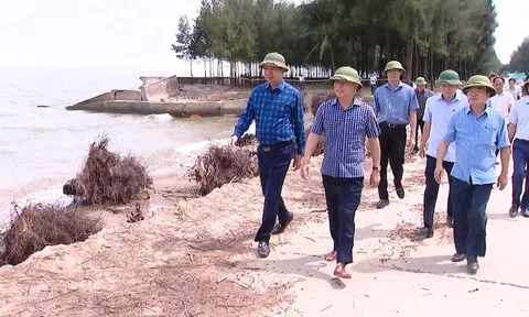 Bí thư Tỉnh ủy Thanh Hóa: Khẩn trương xử lý tình trạng sạt lở do nước biển xâm thực