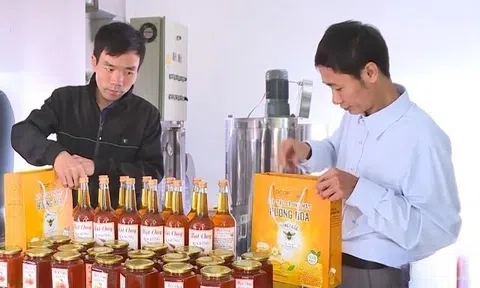 Khai phá những nét đặc trưng để sản phẩm OCOP phát triển