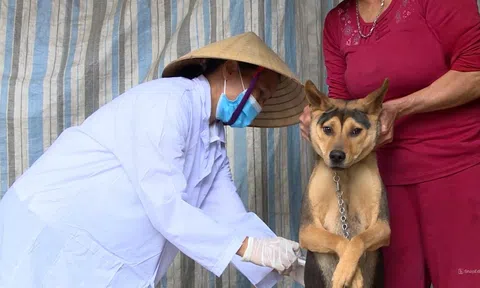 Thanh Hóa tăng cường phòng, chống dịch bệnh trên đàn vật nuôi