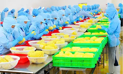 Thanh Hóa thu hút hơn 4.164 tỷ đồng đầu tư vào nông nghiệp