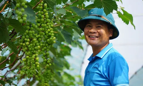 Nông nghiệp Như Thanh “cất cánh” nhờ khoa học công nghệ