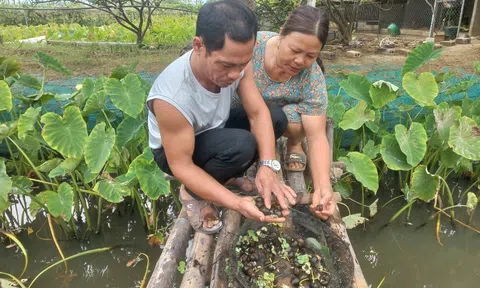 Những “cú hích” từ vốn vay chính sách ở vùng khó Thanh Hóa