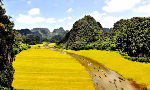 Nông nghiệp sinh thái Ninh Bình: Động lực cho phát triển bền vững