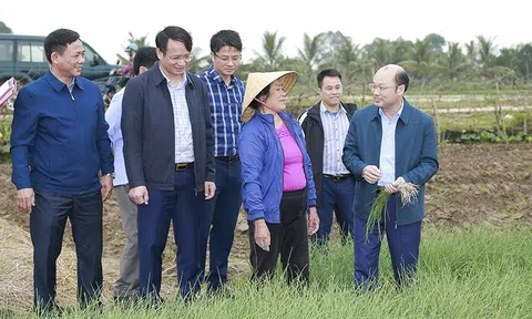 Liên kết sản xuất: “Chìa khóa” thành công của nông nghiệp Thanh Hóa