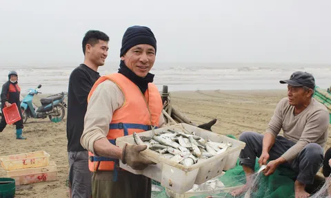 Sau Tết, ngư dân vươn khơi trúng đậm lộc biển, thuyền về cá đầy khoang