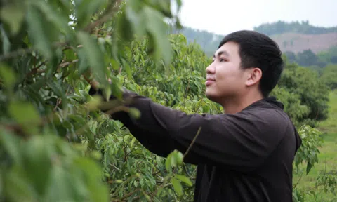 Thanh Hóa đẩy mạnh phát triển nông nghiệp xanh, hướng tới tương lai bền vững