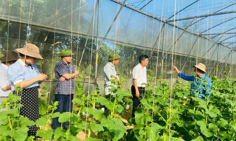 Phát triển nông nghiệp hữu cơ ở Thanh Hóa - Bài 1: Mở lối đi mới cho nông nghiệp sạch