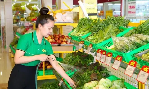 Phát triển nông nghiệp hữu cơ ở Thanh Hóa - Bài 2: Những bước đi đầu tiên trên hành trình hữu cơ