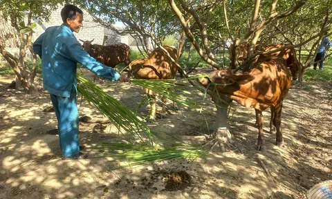 Chàng trai Thanh Hóa khởi nghiệp thành công với mô hình kinh tế tổng hợp