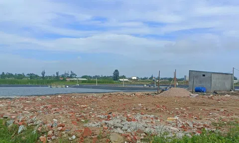 Cảnh báo tình trạng lợi dụng chính sách chuyển đổi đất lúa để vi phạm pháp luật