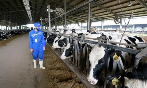 Phát triển nông nghiệp tuần hoàn – hướng đi mới cho nông sản xứ Thanh