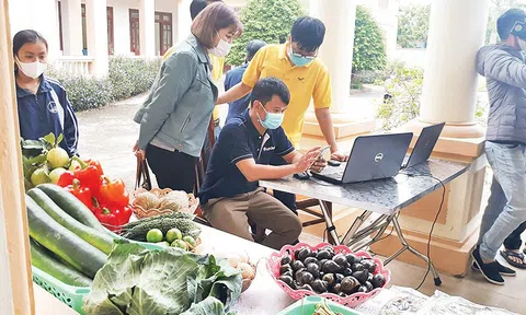 Nông nghiệp số ở Ninh Bình - Từ nghị quyết đến cánh đồng