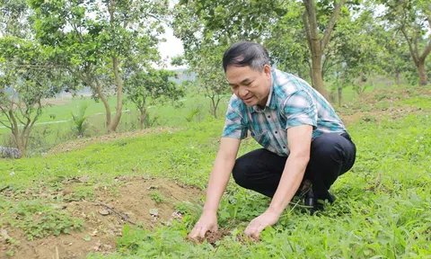 Thanh Hóa khẳng định vị trí dẫn đầu trong xu hướng phát triển nông nghiệp xanh