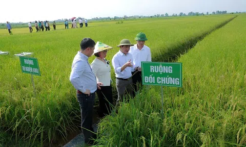 Xóa cấp huyện, mở ra cơ hội mới cho nông nghiệp hiện đại