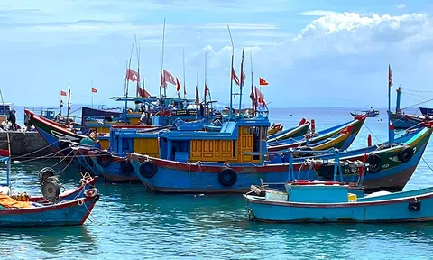 Thanh Hóa quyết tâm cùng cả nước gỡ “thẻ vàng” IUU