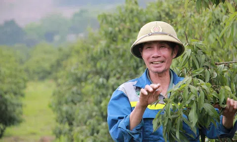 Đất cằn "nở hoa" nhờ nông nghiệp công nghệ cao