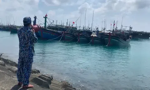 Ninh Bình chủ động ứng phó với Bão Số 3