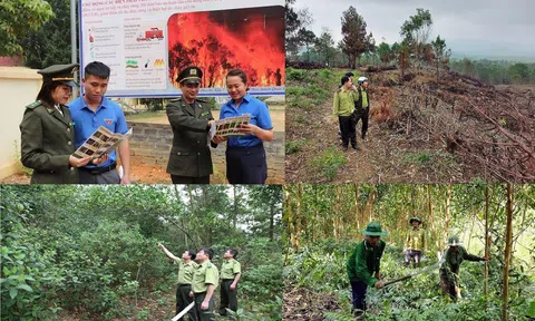 Thanh Hóa cảnh báo cháy rừng cấp cao do nắng nóng kéo dài