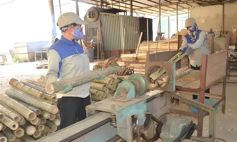 Từ lũy tre làng đến hàng xanh xuất khẩu