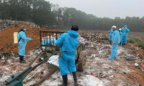 Chăn nuôi an toàn sinh học - Giải pháp then chốt ngăn dịch tả lợn châu Phi