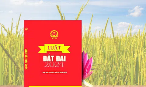 Luật Đất đai 2024: Điểm mới hỗ trợ phát triển nông lâm nghiệp