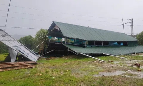 Bão số 5 càn quét Bắc Trung Bộ: Cây đổ la liệt, hoa màu ngập úng, hàng chục nghìn người sơ tán
