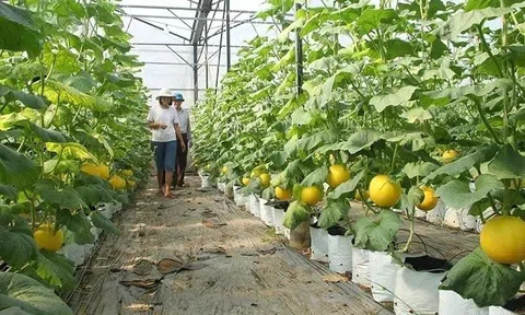 Khi nông dân trở thành “giáo viên đồng ruộng”