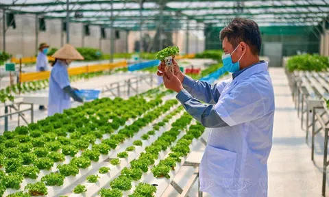 Nghị quyết 57 và vai trò của địa phương trong hiện thực hóa khát vọng hùng cường