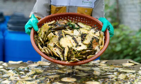 Nông nghiệp xanh từ những hành động nhỏ