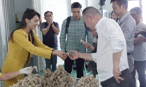 Đẩy mạnh xúc tiến đầu tư và mở rộng thị trường tiêu thụ sản phẩm xanh