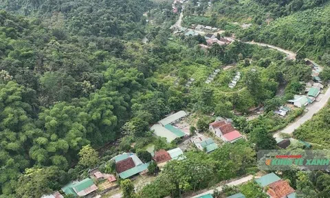 Chi trả tín chỉ carbon rừng vùng Bắc Trung bộ - “Một mũi tên trúng nhiều đích”