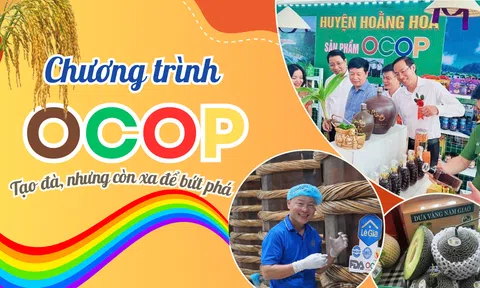 Kinh tế nông thôn Thanh Hóa: OCOP đã tạo đà, nhưng còn xa để bứt phá