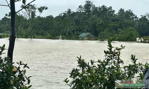 Thanh Hóa khẩn trương khắc phục hậu quả bão số 10