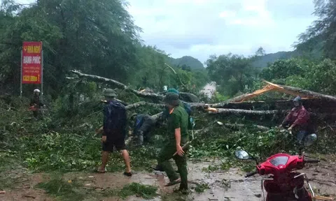 Bão số 10 kết hợp gió mạnh đã gây ra trận giông lốc nghiêm trọng tại tỉnh Ninh Bình, khiến 6 người tử vong