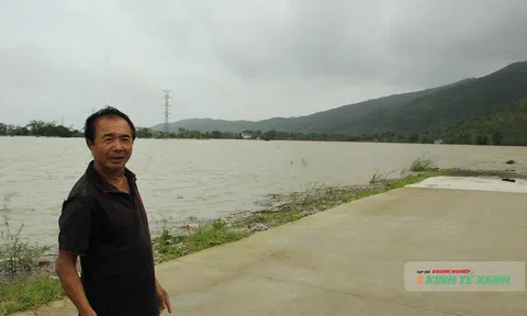 Mưa bão càn quét Thanh Hóa: gần 8.000 ha hoa màu chìm trong biển nước