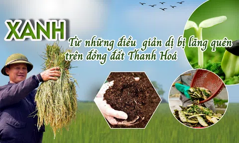 Xanh từ những điều bị lãng quên trên đồng đất Thanh Hóa (Bài 1): “Quả thấp, tay với tới” - Khởi đầu của nền nông nghiệp xanh