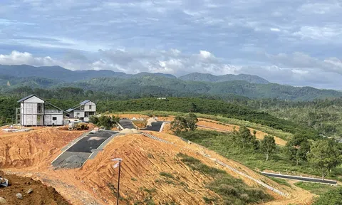 Lâm Đồng: Làng sinh thái The Tropicana Garden 2 hình thành như thế nào?