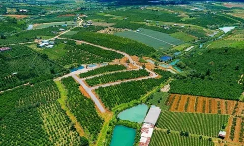 Quy định mới về điều kiện tách thửa đất từ 1/8