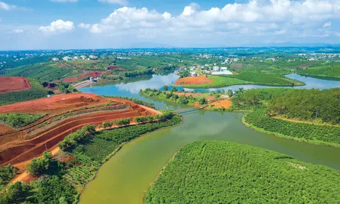 Bảo Lâm (Lâm Đồng) hoàn thành vượt chỉ tiêu trồng 5 triệu cây xanh trước 1 năm